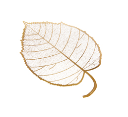 Interior metal decorations.jpg